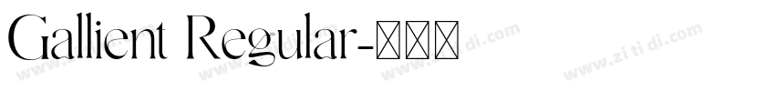 Gallient Regular字体转换 Gallient Regular字体转换